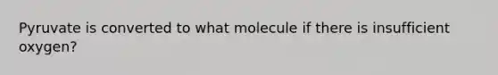 Pyruvate is converted to what molecule if there is insufficient oxygen?