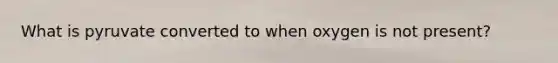 What is pyruvate converted to when oxygen is not present?