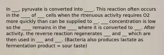 In ___, pyruvate is converted into ____. This reaction often occurs in the ____ of ___ cells when the rtrenuous activity requires O2 more quickly than can be supplied to __. ___ concentration is low so the ____ remains in the ____ where it is converted to ___. After activity, the reverse reaction regenerates ___ and __ which are then used in ___ and ___. (Bacteria also produces lactate as fermentation product = sour taste)