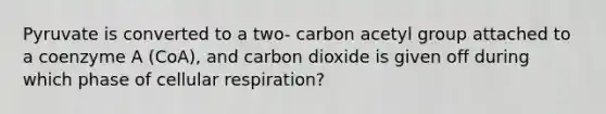 Pyruvate is converted to a two- carbon acetyl group attached to a coenzyme A (CoA), and carbon dioxide is given off during which phase of cellular respiration?