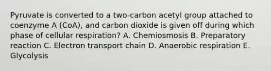 Pyruvate is converted to a two-carbon acetyl group attached to coenzyme A (CoA), and carbon dioxide is given off during which phase of cellular respiration? A. Chemiosmosis B. Preparatory reaction C. Electron transport chain D. Anaerobic respiration E. Glycolysis