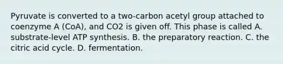 Pyruvate is converted to a two-carbon acetyl group attached to coenzyme A (CoA), and CO2 is given off. This phase is called A. substrate-level <a href='https://www.questionai.com/knowledge/kx3XpCJrFz-atp-synthesis' class='anchor-knowledge'>atp synthesis</a>. B. the preparatory reaction. C. the citric acid cycle. D. fermentation.