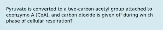 Pyruvate is converted to a two-carbon acetyl group attached to coenzyme A (CoA), and carbon dioxide is given off during which phase of cellular respiration?