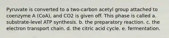 Pyruvate is converted to a two-carbon acetyl group attached to coenzyme A (CoA), and CO2 is given off. This phase is called a. substrate-level <a href='https://www.questionai.com/knowledge/kx3XpCJrFz-atp-synthesis' class='anchor-knowledge'>atp synthesis</a>. b. the preparatory reaction. c. <a href='https://www.questionai.com/knowledge/k57oGBr0HP-the-electron-transport-chain' class='anchor-knowledge'>the electron transport chain</a>. d. the citric acid cycle. e. fermentation.