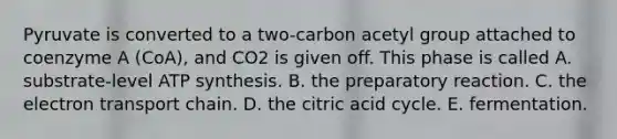 Pyruvate is converted to a two-carbon acetyl group attached to coenzyme A (CoA), and CO2 is given off. This phase is called A. substrate-level <a href='https://www.questionai.com/knowledge/kx3XpCJrFz-atp-synthesis' class='anchor-knowledge'>atp synthesis</a>. B. the preparatory reaction. C. <a href='https://www.questionai.com/knowledge/k57oGBr0HP-the-electron-transport-chain' class='anchor-knowledge'>the electron transport chain</a>. D. the citric acid cycle. E. fermentation.