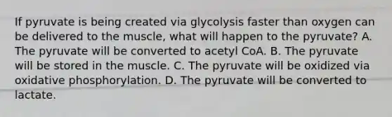 If pyruvate is being created via glycolysis faster than oxygen can be delivered to the muscle, what will happen to the pyruvate? A. The pyruvate will be converted to acetyl CoA. B. The pyruvate will be stored in the muscle. C. The pyruvate will be oxidized via <a href='https://www.questionai.com/knowledge/kFazUb9IwO-oxidative-phosphorylation' class='anchor-knowledge'>oxidative phosphorylation</a>. D. The pyruvate will be converted to lactate.