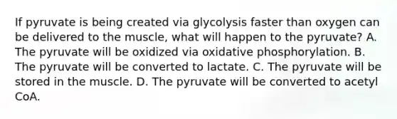 If pyruvate is being created via glycolysis faster than oxygen can be delivered to the muscle, what will happen to the pyruvate? A. The pyruvate will be oxidized via oxidative phosphorylation. B. The pyruvate will be converted to lactate. C. The pyruvate will be stored in the muscle. D. The pyruvate will be converted to acetyl CoA.