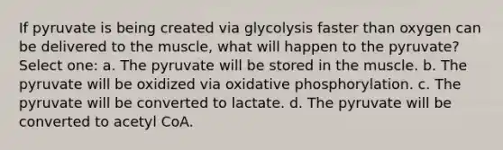 If pyruvate is being created via glycolysis faster than oxygen can be delivered to the muscle, what will happen to the pyruvate? Select one: a. The pyruvate will be stored in the muscle. b. The pyruvate will be oxidized via oxidative phosphorylation. c. The pyruvate will be converted to lactate. d. The pyruvate will be converted to acetyl CoA.