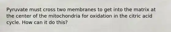 Pyruvate must cross two membranes to get into the matrix at the center of the mitochondria for oxidation in the citric acid cycle. How can it do this?