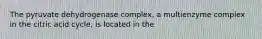 The pyruvate dehydrogenase complex, a multienzyme complex in the citric acid cycle, is located in the