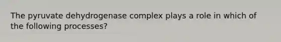 The pyruvate dehydrogenase complex plays a role in which of the following processes?