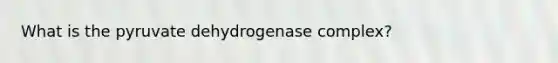 What is the pyruvate dehydrogenase complex?