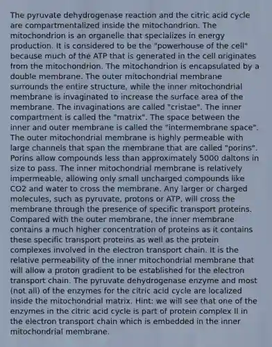 The pyruvate dehydrogenase reaction and the citric acid cycle are compartmentalized inside the mitochondrion. The mitochondrion is an organelle that specializes in energy production. It is considered to be the "powerhouse of the cell" because much of the ATP that is generated in the cell originates from the mitochondrion. The mitochondrion is encapsulated by a double membrane. The outer mitochondrial membrane surrounds the entire structure, while the inner mitochondrial membrane is invaginated to increase the surface area of the membrane. The invaginations are called "cristae". The inner compartment is called the "matrix". The space between the inner and outer membrane is called the "intermembrane space". The outer mitochondrial membrane is highly permeable with large channels that span the membrane that are called "porins". Porins allow compounds less than approximately 5000 daltons in size to pass. The inner mitochondrial membrane is relatively impermeable, allowing only small uncharged compounds like CO2 and water to cross the membrane. Any larger or charged molecules, such as pyruvate, protons or ATP, will cross the membrane through the presence of specific transport proteins. Compared with the outer membrane, the inner membrane contains a much higher concentration of proteins as it contains these specific transport proteins as well as the protein complexes involved in the electron transport chain. It is the relative permeability of the inner mitochondrial membrane that will allow a proton gradient to be established for the electron transport chain. The pyruvate dehydrogenase enzyme and most (not all) of the enzymes for the citric acid cycle are localized inside the mitochondrial matrix. Hint: we will see that one of the enzymes in the citric acid cycle is part of protein complex II in the electron transport chain which is embedded in the inner mitochondrial membrane.