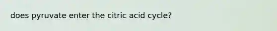 does pyruvate enter the citric acid cycle?