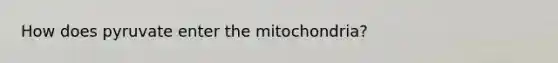 How does pyruvate enter the mitochondria?