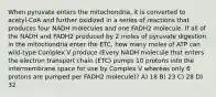 When pyruvate enters the mitochondria, it is converted to acetyl-CoA and further oxidized in a series of reactions that produces four NADH molecules and one FADH2 molecule. If all of the NADH and FADH2 produced by 2 moles of pyruvate digestion in the mitochondria enter the ETC, how many moles of ATP can wild-type Complex V produce (Every NADH molecule that enters the electron transport chain (ETC) pumps 10 protons into the intermembrane space for use by Complex V whereas only 6 protons are pumped per FADH2 molecule)? A) 18 B) 23 C) 28 D) 32