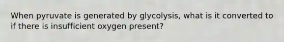 When pyruvate is generated by glycolysis, what is it converted to if there is insufficient oxygen present?