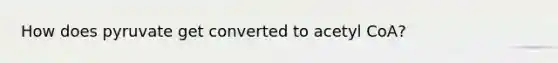 How does pyruvate get converted to acetyl CoA?
