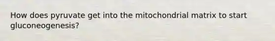 How does pyruvate get into the mitochondrial matrix to start gluconeogenesis?