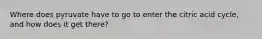 Where does pyruvate have to go to enter the citric acid cycle, and how does it get there?
