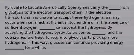 Pyruvate to Lactate Anerobically Coenzymes carry the ______from glycolysis to the electron transport chain. If the electron transport chain is unable to accept these hydrogens, as may occur when cells lack sufficient mitochondria or in the absence of sufficient oxygen, ________ can accept the hydrogens. By accepting the hydrogens, pyruvate be-comes _______, and the coenzymes are freed to return to glycolysis to pick up more hydrogens. In this way, glucose can continue providing energy __________ for a while.