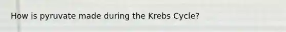 How is pyruvate made during the Krebs Cycle?