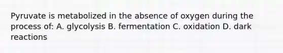 Pyruvate is metabolized in the absence of oxygen during the process of: A. glycolysis B. fermentation C. oxidation D. dark reactions