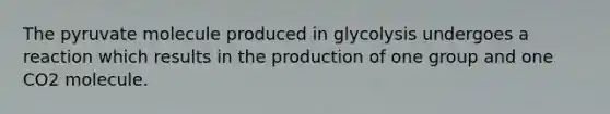 The pyruvate molecule produced in glycolysis undergoes a reaction which results in the production of one group and one CO2 molecule.