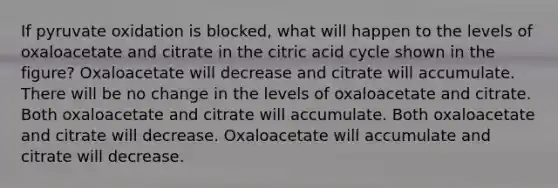 If pyruvate oxidation is blocked, what will happen to the levels of oxaloacetate and citrate in the citric acid cycle shown in the figure? Oxaloacetate will decrease and citrate will accumulate. There will be no change in the levels of oxaloacetate and citrate. Both oxaloacetate and citrate will accumulate. Both oxaloacetate and citrate will decrease. Oxaloacetate will accumulate and citrate will decrease.