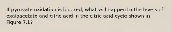 If pyruvate oxidation is blocked, what will happen to the levels of oxaloacetate and citric acid in the citric acid cycle shown in Figure 7.1?