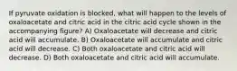 If pyruvate oxidation is blocked, what will happen to the levels of oxaloacetate and citric acid in the citric acid cycle shown in the accompanying figure? A) Oxaloacetate will decrease and citric acid will accumulate. B) Oxaloacetate will accumulate and citric acid will decrease. C) Both oxaloacetate and citric acid will decrease. D) Both oxaloacetate and citric acid will accumulate.