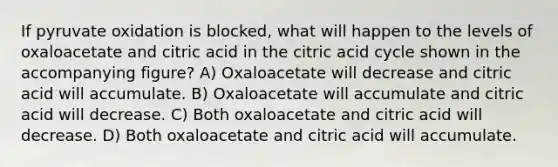 If pyruvate oxidation is blocked, what will happen to the levels of oxaloacetate and citric acid in the citric acid cycle shown in the accompanying figure? A) Oxaloacetate will decrease and citric acid will accumulate. B) Oxaloacetate will accumulate and citric acid will decrease. C) Both oxaloacetate and citric acid will decrease. D) Both oxaloacetate and citric acid will accumulate.