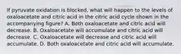 If pyruvate oxidation is blocked, what will happen to the levels of oxaloacetate and citric acid in the citric acid cycle shown in the accompanying figure? A. Both oxaloacetate and citric acid will decrease. B. Oxaloacetate will accumulate and citric acid will decrease. C. Oxaloacetate will decrease and citric acid will accumulate. D. Both oxaloacetate and citric acid will accumulate.