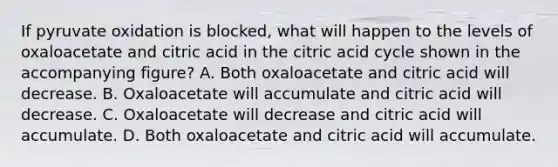 If pyruvate oxidation is blocked, what will happen to the levels of oxaloacetate and citric acid in the citric acid cycle shown in the accompanying figure? A. Both oxaloacetate and citric acid will decrease. B. Oxaloacetate will accumulate and citric acid will decrease. C. Oxaloacetate will decrease and citric acid will accumulate. D. Both oxaloacetate and citric acid will accumulate.