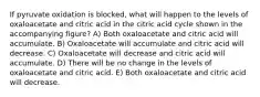 If pyruvate oxidation is blocked, what will happen to the levels of oxaloacetate and citric acid in the citric acid cycle shown in the accompanying figure? A) Both oxaloacetate and citric acid will accumulate. B) Oxaloacetate will accumulate and citric acid will decrease. C) Oxaloacetate will decrease and citric acid will accumulate. D) There will be no change in the levels of oxaloacetate and citric acid. E) Both oxaloacetate and citric acid will decrease.