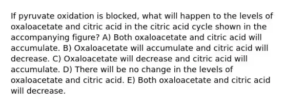 If pyruvate oxidation is blocked, what will happen to the levels of oxaloacetate and citric acid in the citric acid cycle shown in the accompanying figure? A) Both oxaloacetate and citric acid will accumulate. B) Oxaloacetate will accumulate and citric acid will decrease. C) Oxaloacetate will decrease and citric acid will accumulate. D) There will be no change in the levels of oxaloacetate and citric acid. E) Both oxaloacetate and citric acid will decrease.