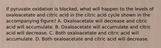 If pyruvate oxidation is blocked, what will happen to the levels of oxaloacetate and citric acid in the citric acid cycle shown in the accompanying figure? A. Oxaloacetate will decrease and citric acid will accumulate. B. Oxaloacetate will accumulate and citric acid will decrease. C. Both oxaloacetate and citric acid will accumulate. D. Both oxaloacetate and citric acid will decrease.