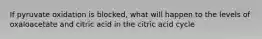 If pyruvate oxidation is blocked, what will happen to the levels of oxaloacetate and citric acid in the citric acid cycle
