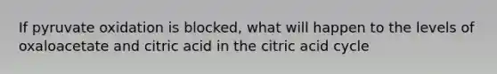 If pyruvate oxidation is blocked, what will happen to the levels of oxaloacetate and citric acid in the citric acid cycle