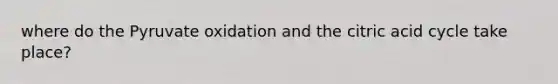 where do the Pyruvate oxidation and the citric acid cycle take place?