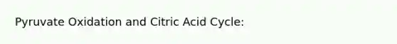 Pyruvate Oxidation and Citric Acid Cycle: