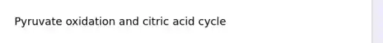 Pyruvate oxidation and citric acid cycle