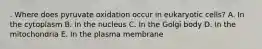 . Where does pyruvate oxidation occur in eukaryotic cells? A. In the cytoplasm B. In the nucleus C. In the Golgi body D. In the mitochondria E. In the plasma membrane