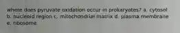 where does pyruvate oxidation occur in prokaryotes? a. cytosol b. nucleoid region c. mitochondrial matrix d. plasma membrane e. ribosome