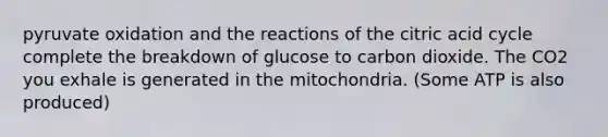 pyruvate oxidation and the reactions of the citric acid cycle complete the breakdown of glucose to carbon dioxide. The CO2 you exhale is generated in the mitochondria. (Some ATP is also produced)