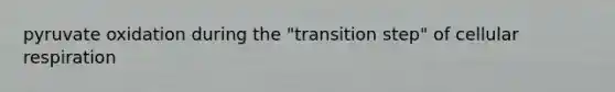 pyruvate oxidation during the "transition step" of cellular respiration