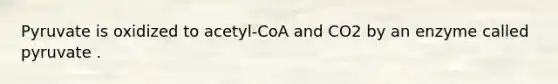 Pyruvate is oxidized to acetyl-CoA and CO2 by an enzyme called pyruvate .