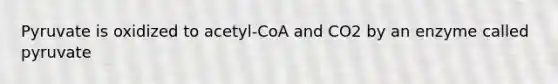 Pyruvate is oxidized to acetyl-CoA and CO2 by an enzyme called pyruvate