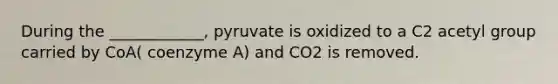 During the ____________, pyruvate is oxidized to a C2 acetyl group carried by CoA( coenzyme A) and CO2 is removed.