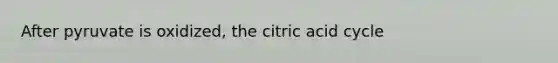 After pyruvate is oxidized, the citric acid cycle